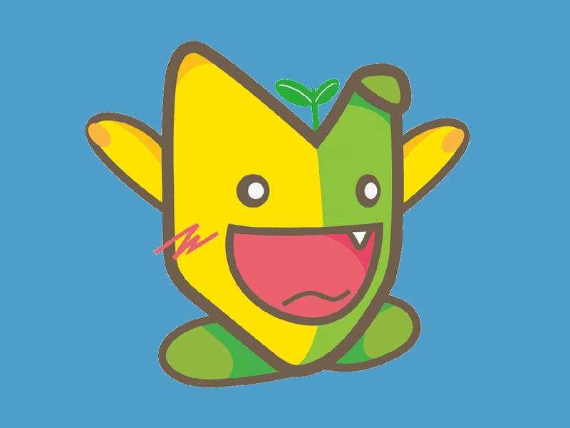 大学周辺・ご自宅から通学で免許取得するプラン